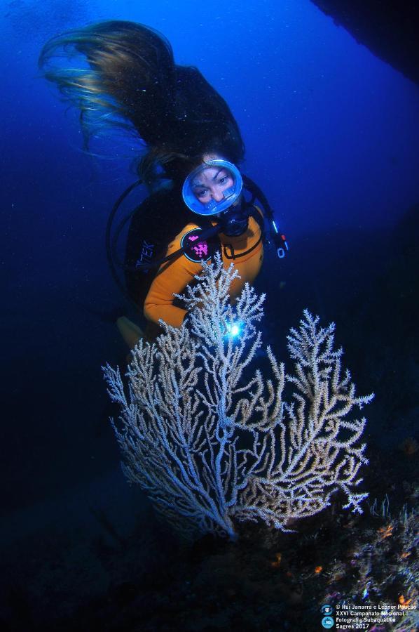 Puravida Divehouse Bed & Breakfast Sagres Dış mekan fotoğraf