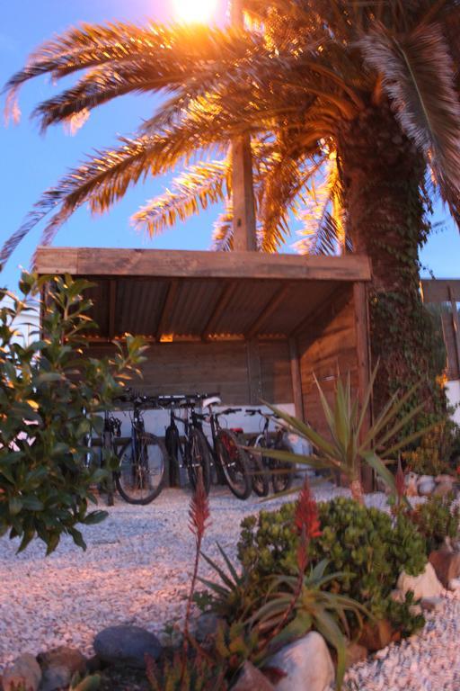 Puravida Divehouse Bed & Breakfast Sagres Dış mekan fotoğraf